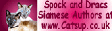 Catsup: Spock and Dracs: Two Meezer blokes from the U.K.!